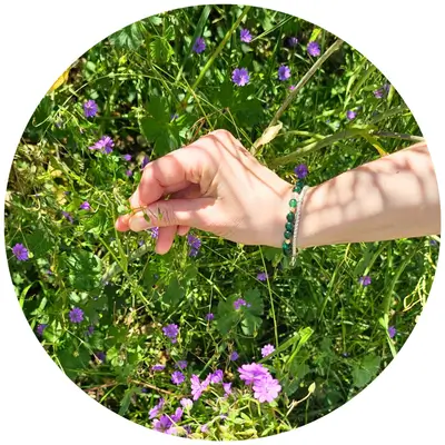 Bei Emotion Candle werden alle Blüten selbst gesammelt und getrocknet.